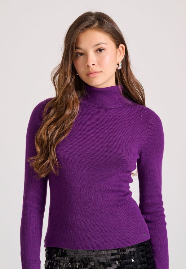 Cashmere blend turtle neck pullover
